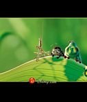 pic for A Bugs Life